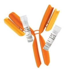 q2-results-cell-culture-workflow-solutions-immunoassays-product-95872 q2-results-cell-culture-workflow-solutions-immunoassays-product-95872