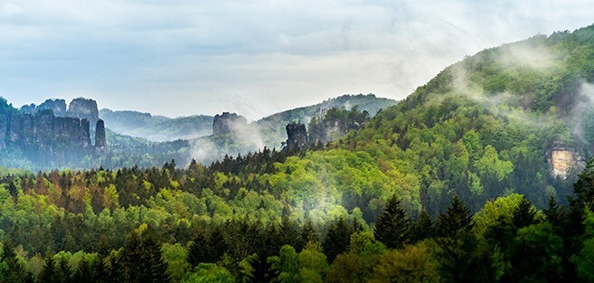 19025_sust_brochure Sustainability Program