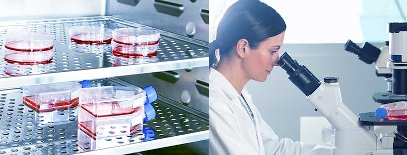 C02 Inkubator 16777_Lab_Reporter_Q2_Edition_P4_Binder