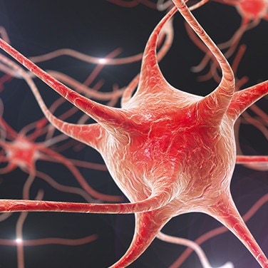 consumables-brain-organoids-0827 consumables-brain-organoids-0827