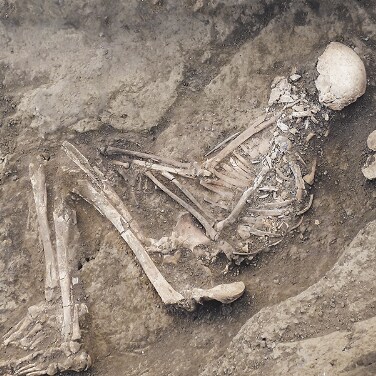 article-cover-story-ancestral-antiviral-main-22-758-0000 article-cover-story-ancestral-antiviral-main-22-758-0000