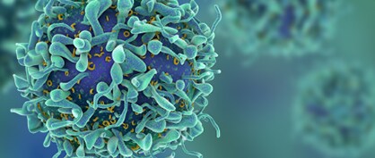 Successful Cell Therapy Manufacturing Successful Cell Therapy Manufacturing