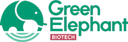 Green Elephant logo Green Elephant logo