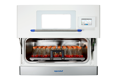 Accelerate Your Growth Accelerate Your Growth