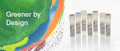 Greener Shipping: Ambient Advantage for Invitrogen Antibodies