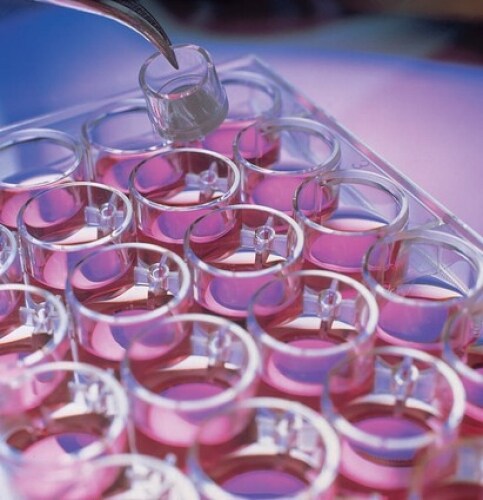 Merck Millipore Millicell&trade; Culture Plate