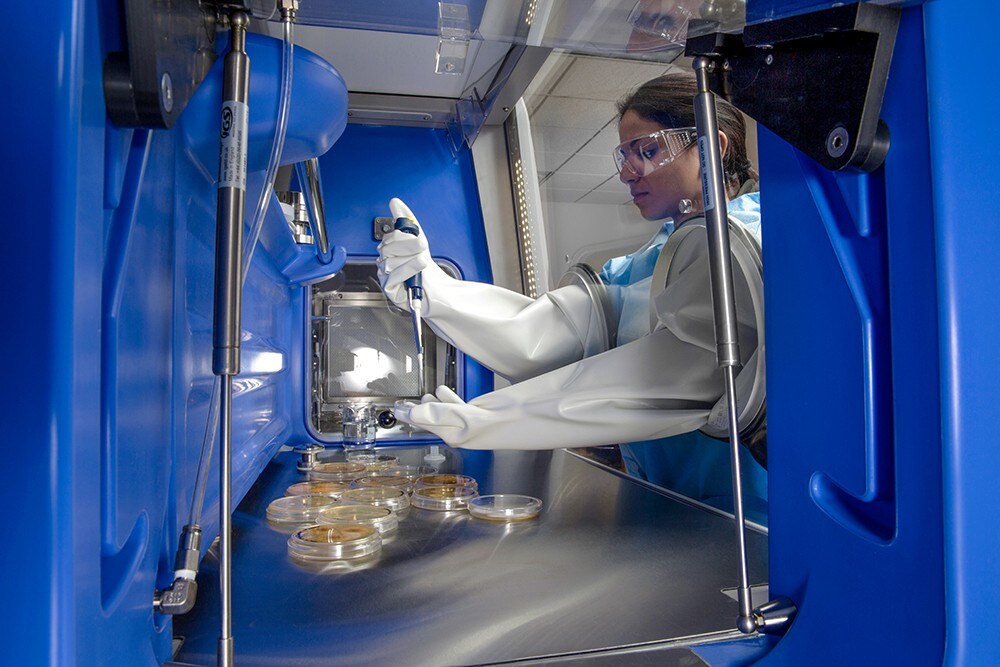 23606_applied_solutions