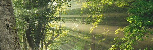 Understanding Sustainability and the Role Glove Manufacturers Should Have Understanding Sustainability and the Role Glove Manufacturers Should Have