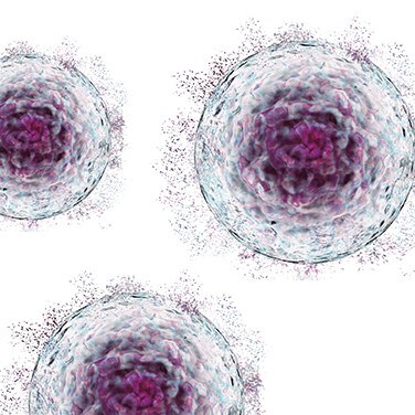 Picture of a cell therapy