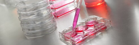Corning&trade; Cell Culture Product Selection Guide