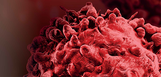 Cancer Research Guidebook